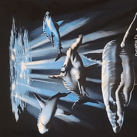 Mens Black Shark Graphic T-Shirt Panama City, FL Size Small - Picture 2 of 3
